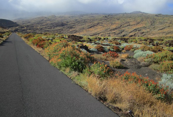 el-hierro-canarische-eilanden