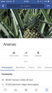 geld verdienen facebookpagina ananas