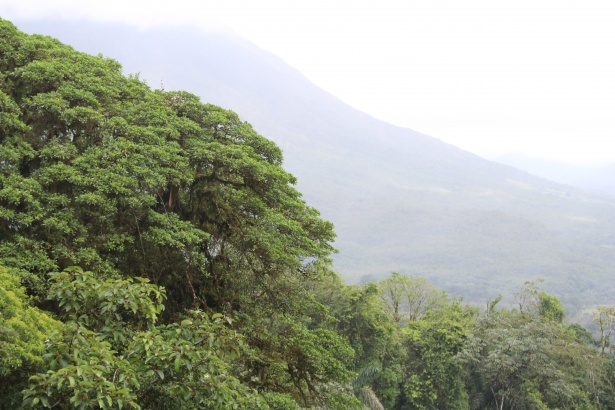 Kosten van levensonderhoud Costa Rica